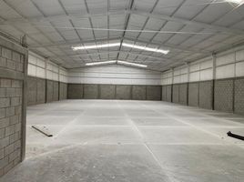 820 SqM Office for rent in Coahuila, Matamoros, Coahuila