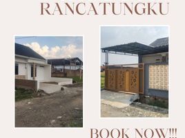 2 Bedroom House for sale in Pameungpeuk, Bandung, Pameungpeuk