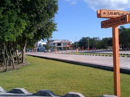  Grundstück zu verkaufen in Cancun, Quintana Roo, Cancun