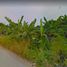  Terreno (Parcela) en venta en Sawangan, West Jawa, Sawangan, Bogor, West Jawa