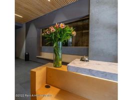 2 Habitación Apartamento en alquiler en Miguel Hidalgo, Ciudad de México, Miguel Hidalgo, Ciudad de México