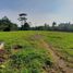  Land for sale in Bogor, West Jawa, Citeureup, Bogor