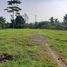  Land for sale in Bogor, West Jawa, Citeureup, Bogor