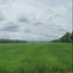  Land for sale in Naranjito, Guayas, Naranjito, Naranjito