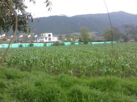  Terreno (Parcela) en venta en Sopo, Cundinamarca, Sopo