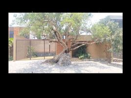2 Habitación Casa en venta en Cuernavaca, Morelos, Cuernavaca