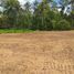  Land for sale in Pekalongan, Jawa Tengah, Tirto, Pekalongan