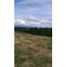 Studio Villa for sale in Filandia, Quindio, Filandia