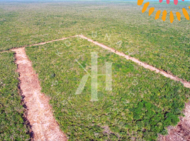  Grundstück zu verkaufen in Sinanche, Yucatan, Sinanche