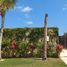  Grundstück zu verkaufen in Cancun, Quintana Roo, Cancun