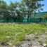  Land for rent in Guadalupe, Nuevo Leon, Guadalupe