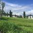  Terreno (Parcela) en venta en Quezon City, Metro Manila, Quezon City, Eastern District, Metro Manila