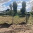  Land for sale in Bahia Blanca, Buenos Aires, Bahia Blanca