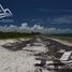 Grundstück zu verkaufen in Puerto Morelos, Quintana Roo, Puerto Morelos