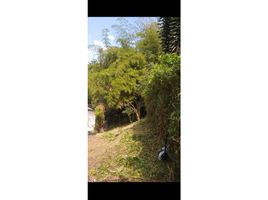  Land for sale in El Tesoro Parque Comercial, Medellin, Envigado