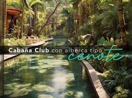  Grundstück zu verkaufen in Dzidzantun, Yucatan, Dzidzantun