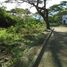  Grundstück zu verkaufen in Cebu City, Central Visayas, Cebu City, Cebu, Central Visayas, Philippinen