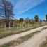  Land for sale in Futaleufu, Chubut, Futaleufu