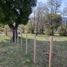  Land for sale in Futaleufu, Chubut, Futaleufu