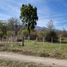  Land for sale in Futaleufu, Chubut, Futaleufu