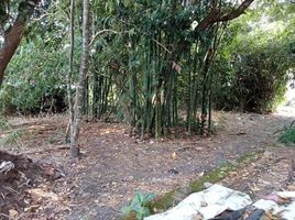  Land for sale in Yogyakarta, Sleman, Sleman, Yogyakarta