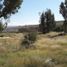  Land for sale in Durango, Durango, Durango, Durango