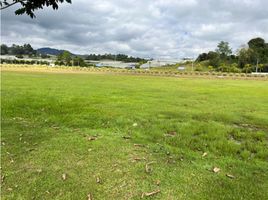  Terreno (Parcela) en venta en Aeropuerto Internacional José María Córdova, Rionegro, Rionegro