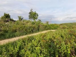 Terreno (Parcela) en venta en Compostela, Central Visayas, Compostela