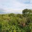  Terreno (Parcela) en venta en Compostela, Central Visayas, Compostela