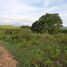  Terreno (Parcela) en venta en Compostela, Central Visayas, Compostela