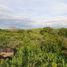  Terreno (Parcela) en venta en Compostela, Central Visayas, Compostela