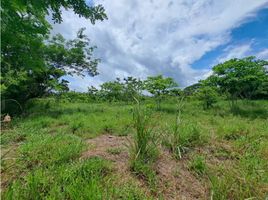  Terrain for sale in David, Chiriqui, Chiriqui, David