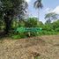  Land for sale in Huimanguillo, Tabasco, Huimanguillo, Tabasco