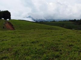  Terreno (Parcela) en venta en Calima, Valle Del Cauca, Calima