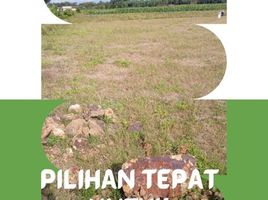  Land for sale in Jenggawah, Jember, Jenggawah