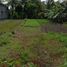  Land for sale in Bantul, Yogyakarta, Kasihan, Bantul