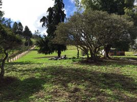  Land for sale in Sopo, Cundinamarca, Sopo