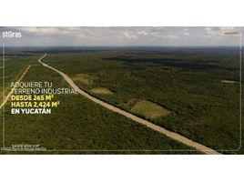  Land for sale in Acanceh, Yucatan, Acanceh