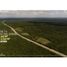  Land for sale in Acanceh, Yucatan, Acanceh