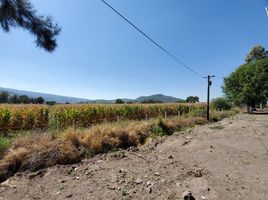  Grundstück zu verkaufen in Tlajomulco De Zuniga, Jalisco, Tlajomulco De Zuniga