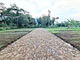  Land for sale in Bogor, West Jawa, Cijeruk, Bogor