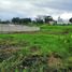  Land for sale in Emiliano Zapata, Veracruz, Emiliano Zapata