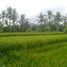  Tanah for sale in Tampak Siring, Gianyar, Tampak Siring