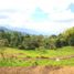  Land for sale in Armenia, Quindio, Armenia