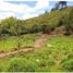  Land for sale in Armenia, Quindio, Armenia