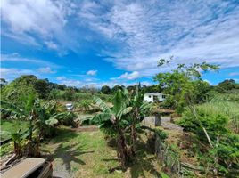 2 Schlafzimmer Haus zu verkaufen in Dolega, Chiriqui, Rovira, Dolega