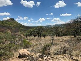  Land for sale in Calvillo, Aguascalientes, Calvillo