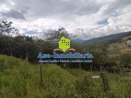  Land for sale in Caqueta, Florencia, Caqueta