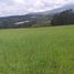  Land for sale in Tocachi, Pichincha, Tocachi