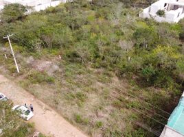  Grundstück zu verkaufen in Conkal, Yucatan, Conkal